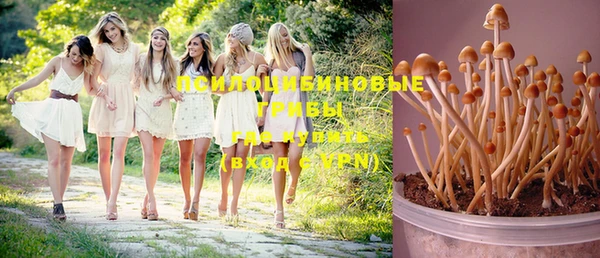 MDMA Premium VHQ Вяземский