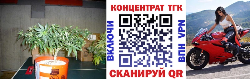 где можно купить наркотик  Партизанск  ТГК гашишное масло 